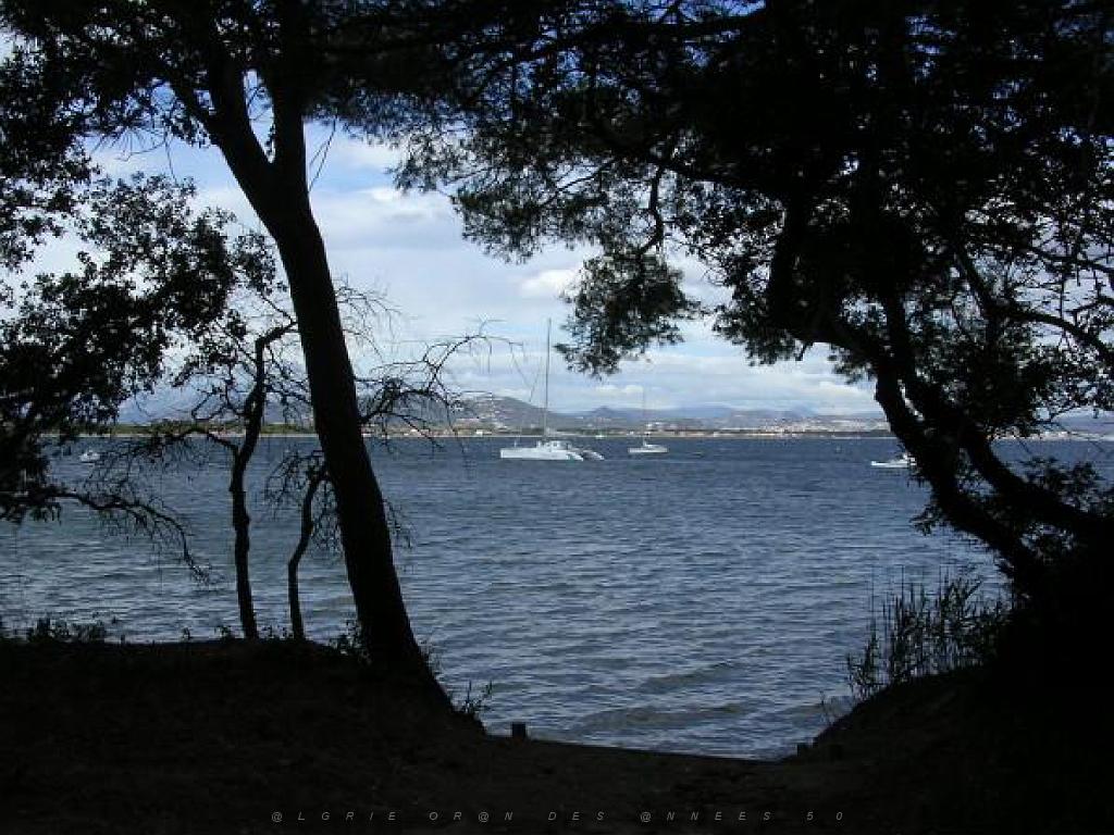 183 D18 PRESQU ILE DE GIENS 1_000029.jpg